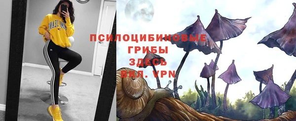 эйфоретик Новокубанск