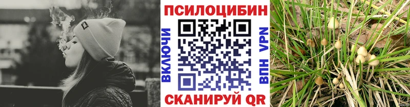 Галлюциногенные грибы Cubensis  Таганрог 