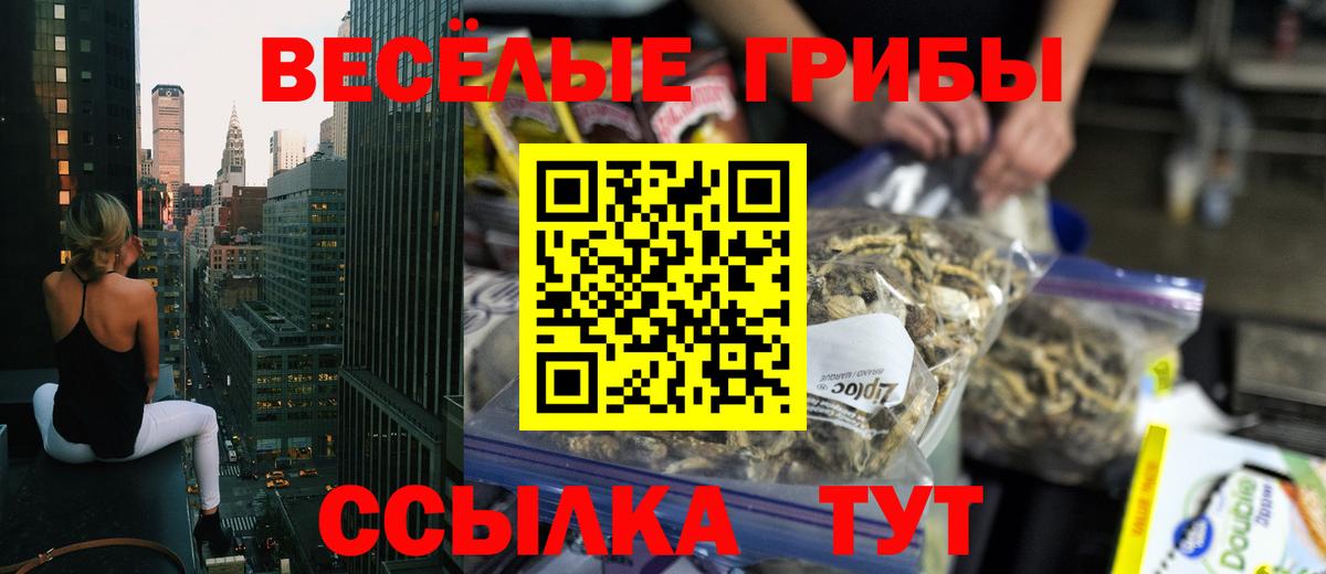 Таганрог  Псилоцибиновые грибы MAGIC MUSHROOMS  где продают наркотики  Псилоцибиновые грибы GOLDEN TEACHER  Вход с VPN 